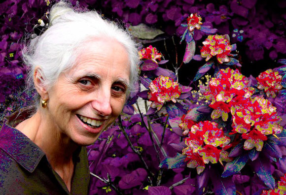 Barbara Godard
